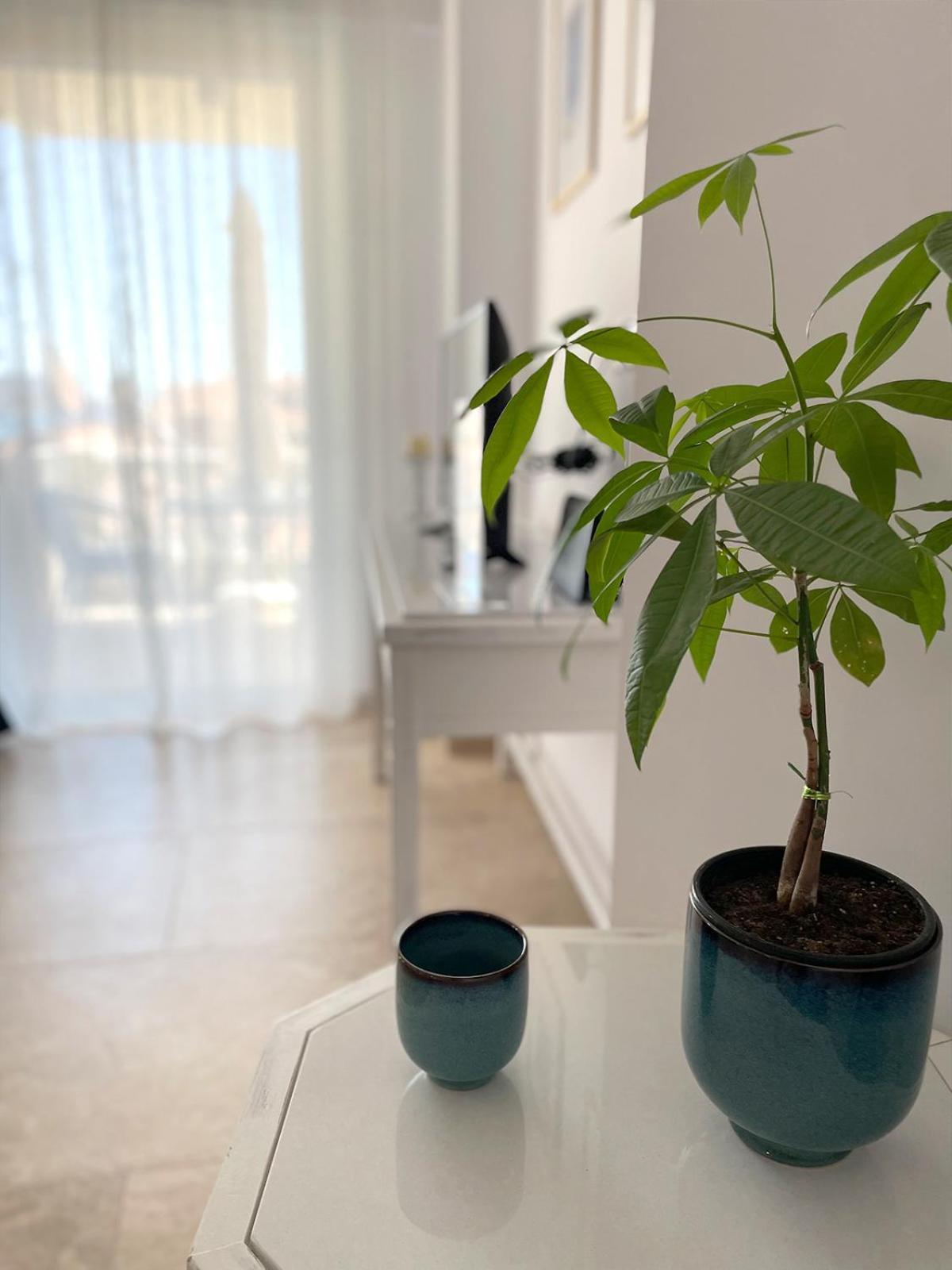 Odysseus Boutique Apartment Ermioni Eksteriør billede